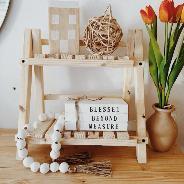 Wooden Aesthetic Double Layer Shelf Thick and Durable (Anjo) - Image 9