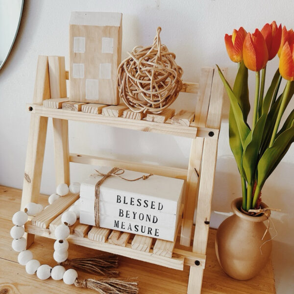 Wooden Aesthetic Double Layer Shelf Thick and Durable (Anjo) - Image 6