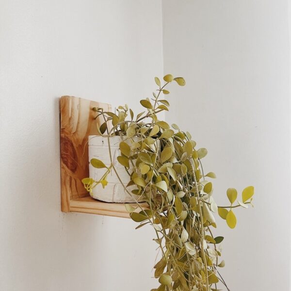 Mini Plant Holder Shelf (Lileth) - Image 11