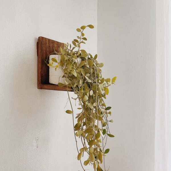 Mini Plant Holder Shelf (Lileth) - Image 9