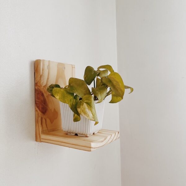 Mini Plant Holder Shelf (Lileth) - Image 3