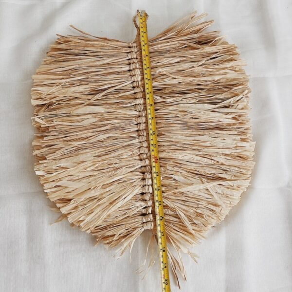 Rafia Feather Wall Hang (Felecita) - Image 6