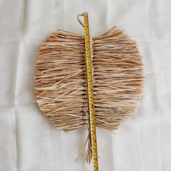 Rafia Feather Wall Hang (Felecita) - Image 5