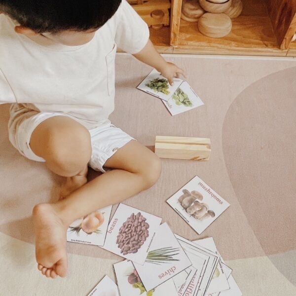 [wooden toys] Wooden Flash card Holder (Fabian) - Image 9